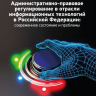 Административно-правовое регулирование в отрасли информационных технологий в Российской Федерации: современное состояние и проблемы: монография Административно-правовое регулирование в отрасли информационных технологий в Российской Федерации: современное состояние и проблемы: монография